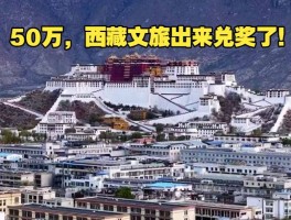 说到做到！西藏文旅50万重奖兑现网红“李要得”当场捐了48万